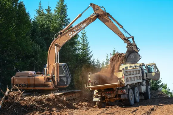 Lupin Kasino Sokongan